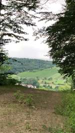 Hundeauslaufgebiet-Scheulberg-Bild