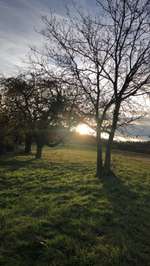 Hundeauslaufgebiet-Scheulberg-Bild