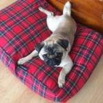 Ersteller:in Friederike Profilbild