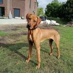 Ersteller:in Janin Profilbild