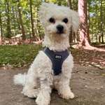 Ersteller:in Petra Profilbild