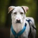 Ersteller:in Kerstin Profilbild