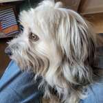 Ersteller:in Heinrich Profilbild