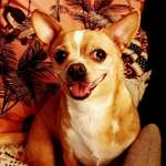 Ersteller:in Julia Profilbild