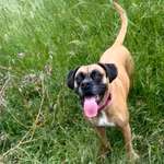 Ersteller:in Flo Profilbild