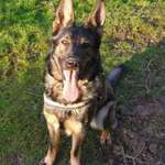 Ersteller:in Aemilia Profilbild