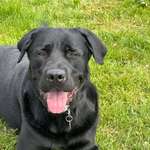 Ersteller:in christoph Profilbild