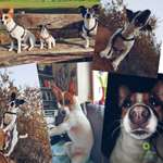 Ersteller:in Bastian Profilbild