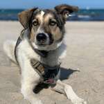 Ersteller:in Jana Profilbild