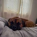 Ersteller:in Adrian Profilbild