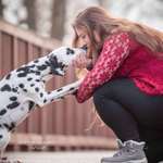 Ersteller:in Lia Profilbild