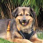 Ersteller:in Dean Profilbild