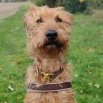 Ersteller:in Tina Profilbild