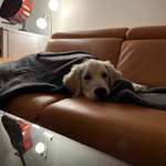 Ersteller:in Diana Profilbild