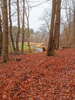 Hundeauslaufgebiet-Ackerwiese-Bild