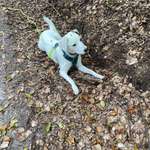 Ersteller:in Eileen Profilbild