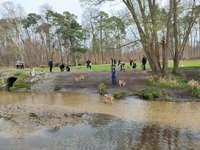 Hundeauslaufgebiet-Gundwiesen-Bild