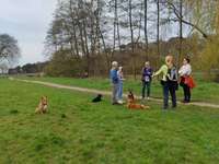 Hundeauslaufgebiet-Gundwiesen-Bild
