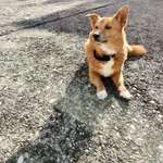 Ersteller:in Heike Profilbild