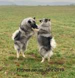 Cora und Amy beim spielen .-Beitrag-Bild