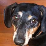 Ersteller:in Nicole Profilbild