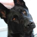 Ersteller:in Lutz Profilbild