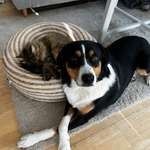 Ersteller:in Carolina Profilbild