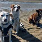 Ersteller:in Jules Profilbild