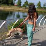 Ersteller:in A Profilbild