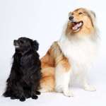 Ersteller:in Jenny Profilbild