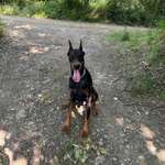 Ersteller:in Hermes Profilbild