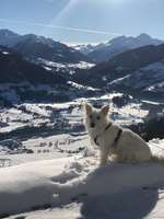 Gen-Test Empfehlungen-Beitrag-Bild