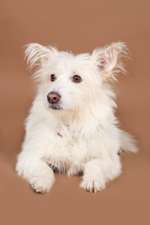 Gen-Test Empfehlungen-Beitrag-Bild