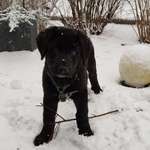 Ersteller:in Sonja Profilbild