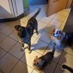 Ersteller:in Mara Profilbild