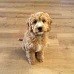 Ersteller:in Nadine Profilbild