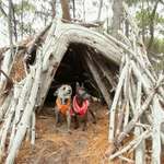 Ersteller:in Sabine Profilbild