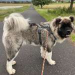 Ersteller:in Marija Profilbild