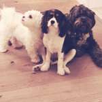 Ersteller:in Nicole Profilbild