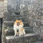 Ersteller:in Sina Profilbild