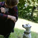 Ersteller:in Detlef Profilbild