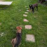 Ersteller:in Jessica Profilbild