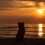 Ersteller:in Miri Profilbild