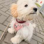 Ersteller:in Vanessa und Profilbild