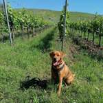 Ersteller:in Connie Profilbild