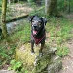 Ersteller:in Lena Profilbild