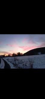 Hundeauslaufgebiet-Dreienberg-Bild