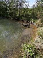 Hundeauslaufgebiet-Dreienberg-Bild