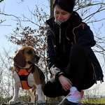 Ersteller:in Sa Brina Profilbild