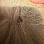 Hautveränderung entdeckt-Beitrag-Bild